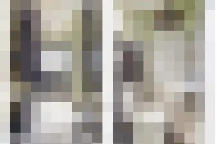 Oudesaag 10 Steenbergen thumbnail 10