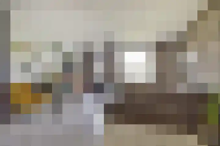 Oudesaag 10 Steenbergen thumbnail 11