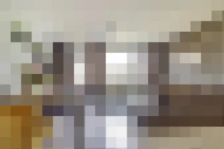 Oudesaag 10 Steenbergen thumbnail 12