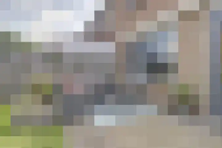 Oudesaag 10 Steenbergen thumbnail 32