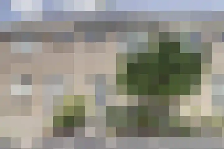 Oudesaag 10 Steenbergen thumbnail 6
