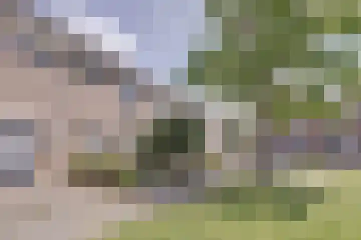 Oudesaag 10 Steenbergen thumbnail 8