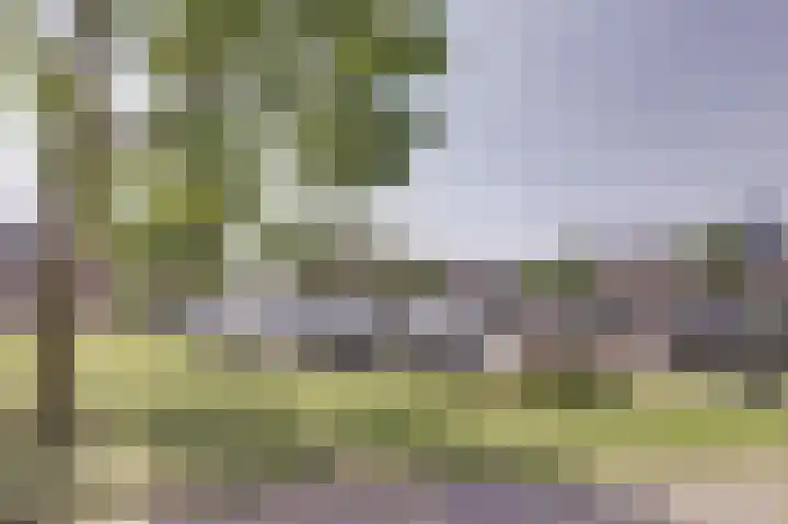Oudesaag 10 Steenbergen thumbnail 9