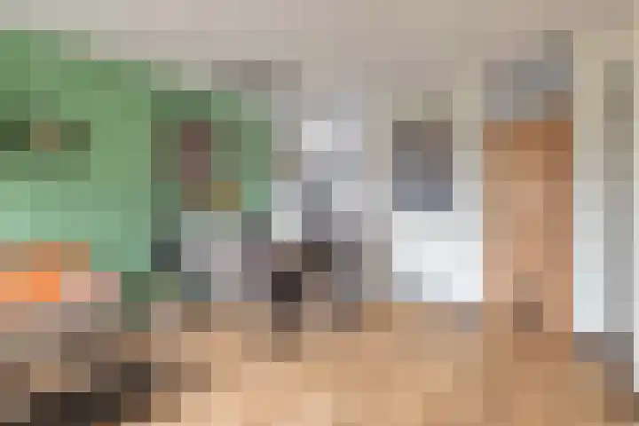 Oudesaag 12 Steenbergen thumbnail 10