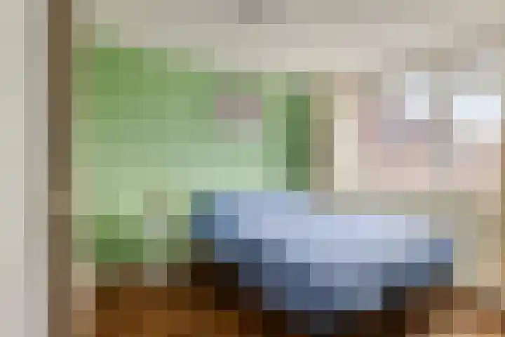 Oudesaag 12 Steenbergen thumbnail 20