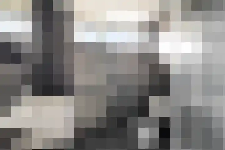 Oudesaag 12 Steenbergen thumbnail 24