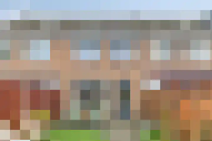 Oudesaag 12 Steenbergen thumbnail 30
