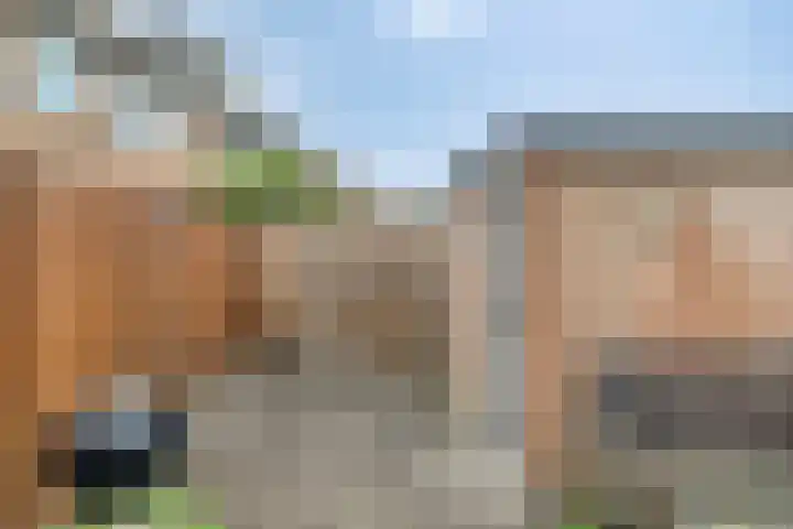 Oudesaag 12 Steenbergen thumbnail 34