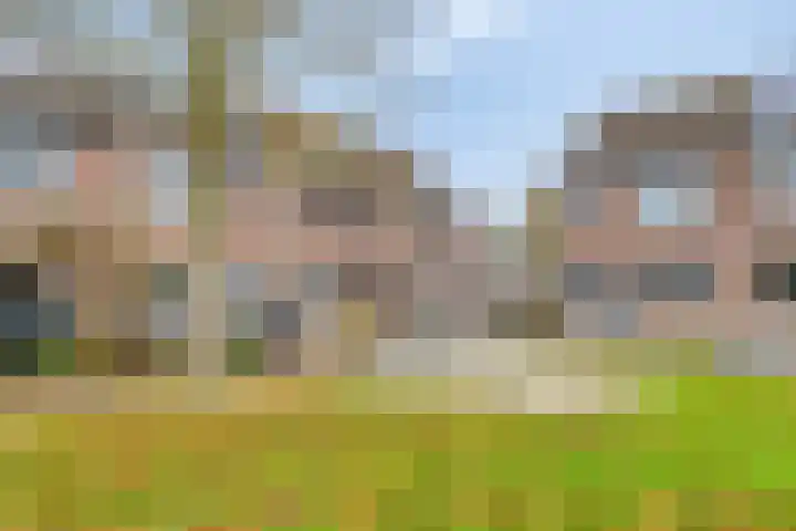 Oudesaag 12 Steenbergen thumbnail 36