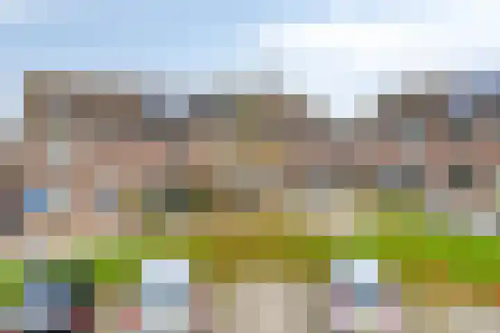 Oudesaag 12 Steenbergen thumbnail 4