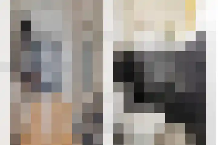Oudesaag 12 Steenbergen thumbnail 6
