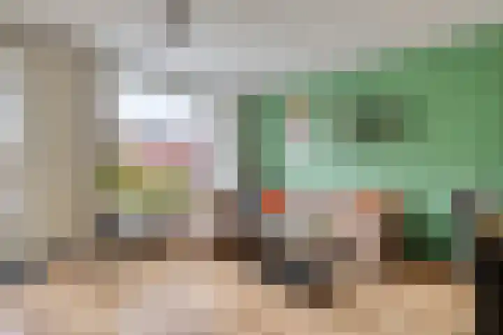 Oudesaag 12 Steenbergen thumbnail 8