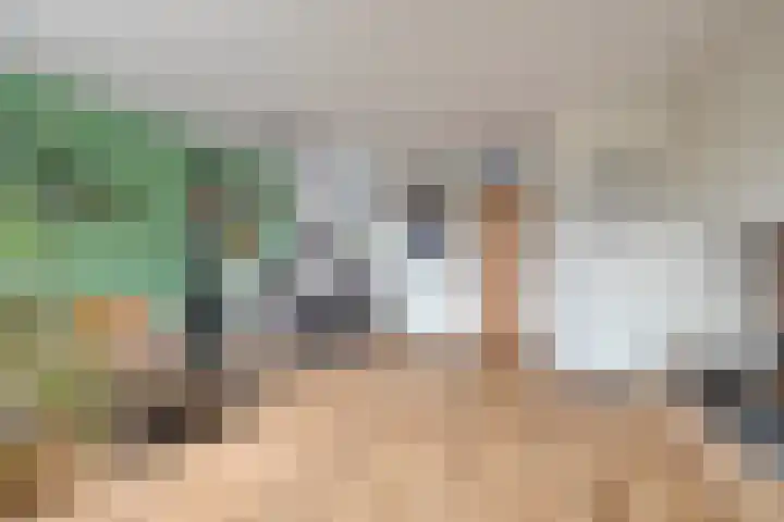 Oudesaag 12 Steenbergen thumbnail 9