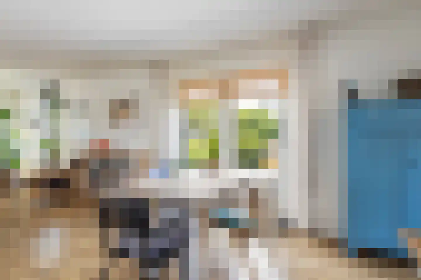 Oudeschouw 4 Akkrum thumbnail 12