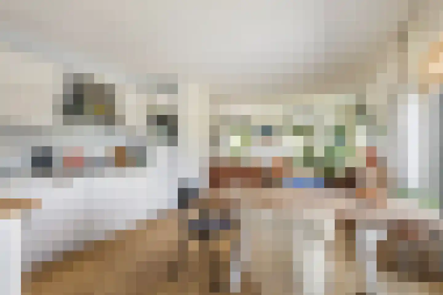 Oudeschouw 4 Akkrum thumbnail 13