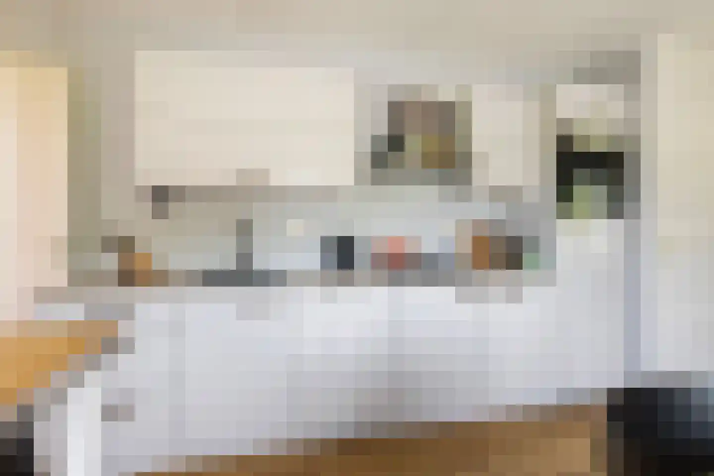 Oudeschouw 4 Akkrum thumbnail 14