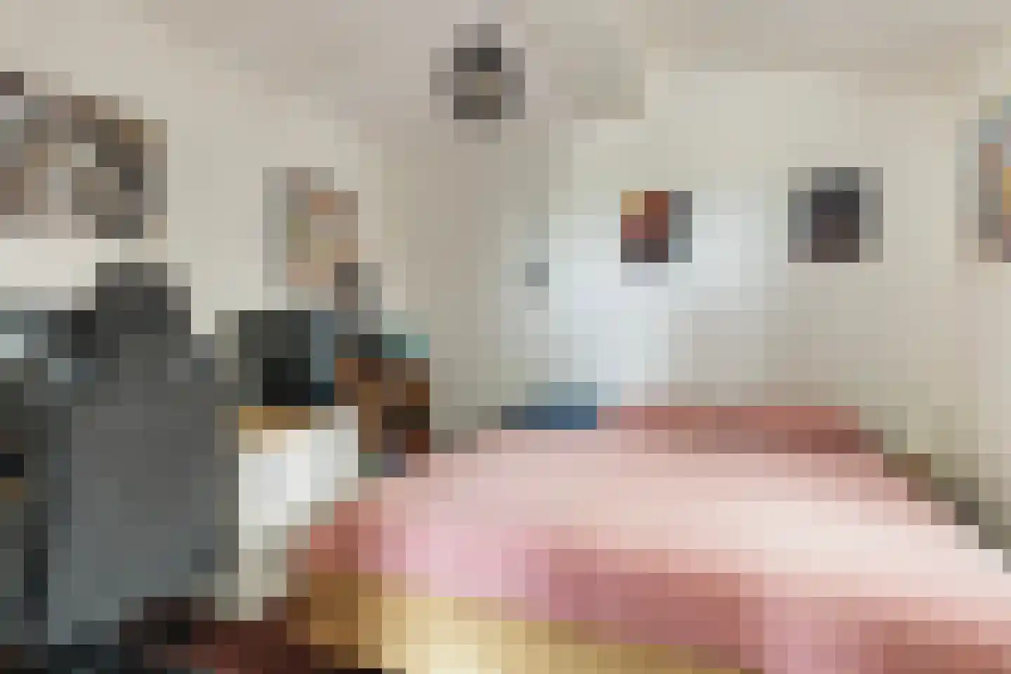 Oudeschouw 4 Akkrum thumbnail 15