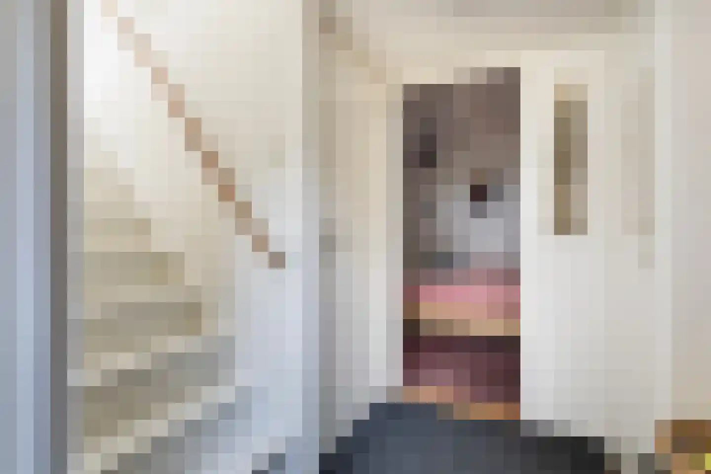 Oudeschouw 4 Akkrum thumbnail 17
