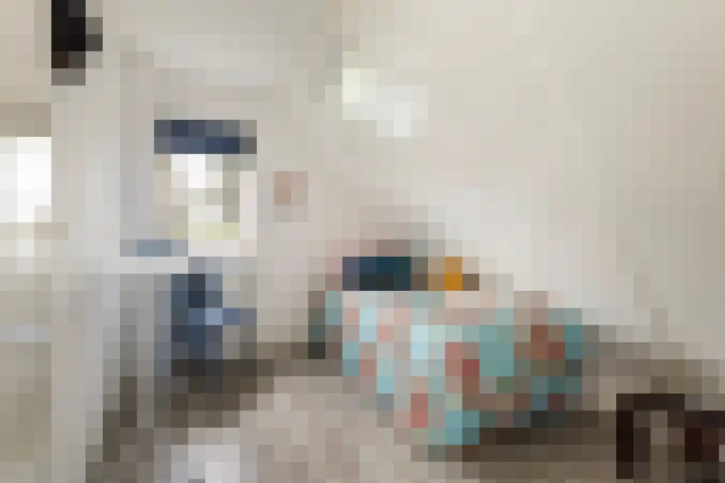 Oudeschouw 4 Akkrum thumbnail 19