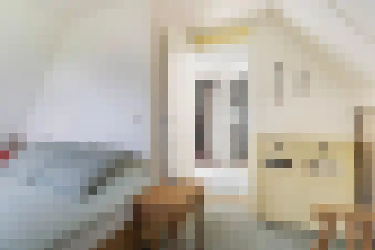 Oudeschouw 4 Akkrum thumbnail 26