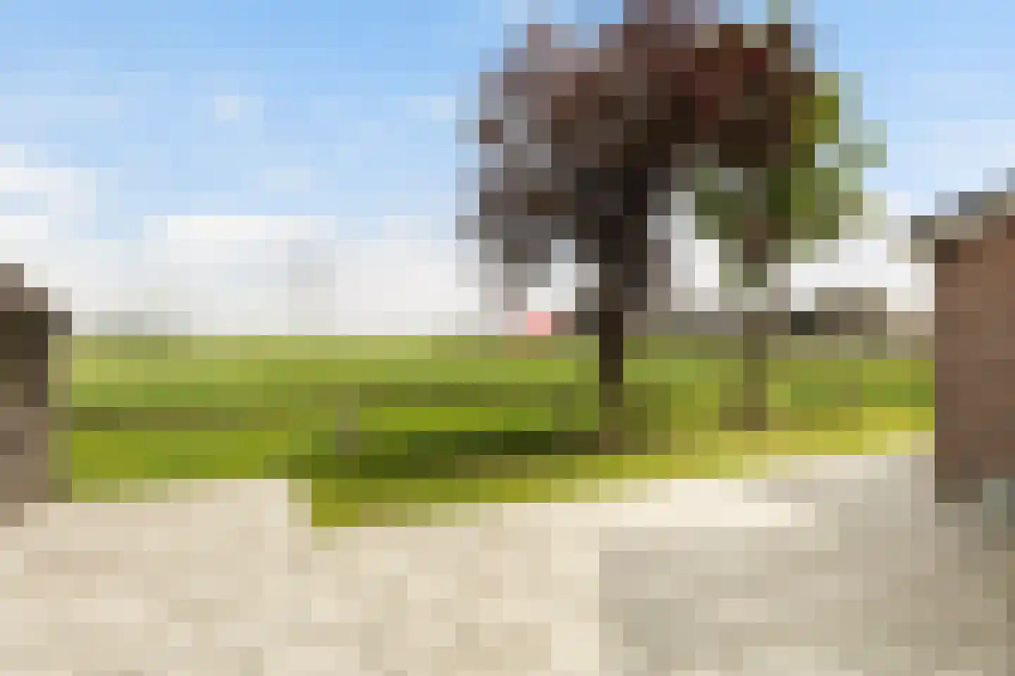 Oudeschouw 4 Akkrum thumbnail 33