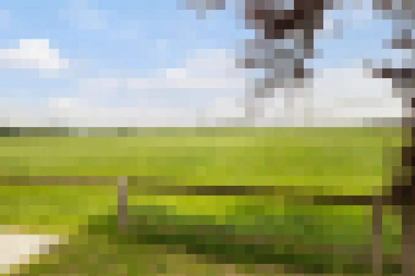 Oudeschouw 4 Akkrum thumbnail 34