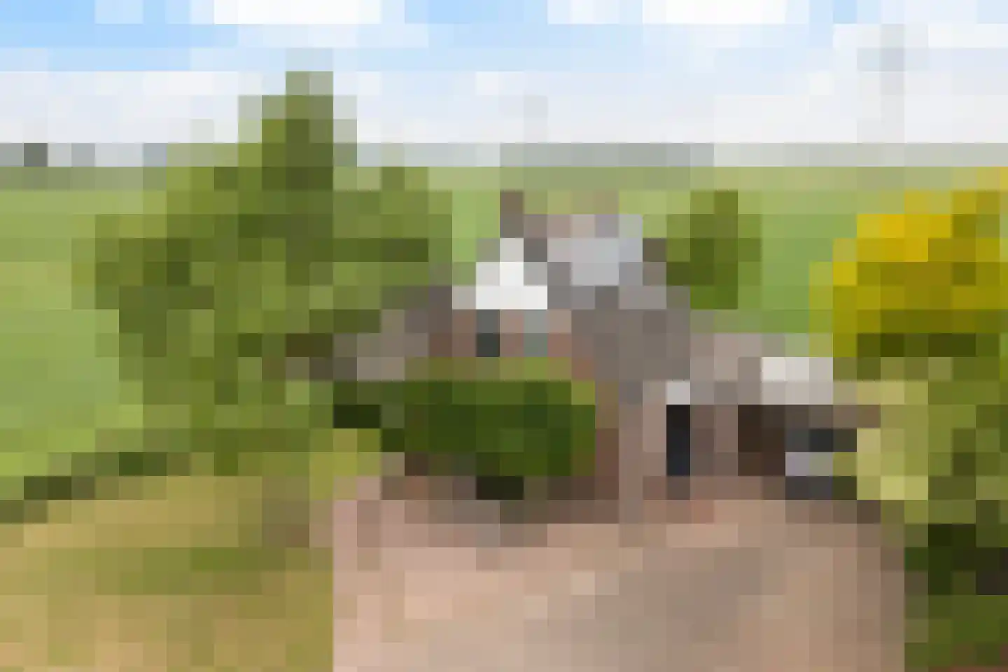 Oudeschouw 4 Akkrum thumbnail 36