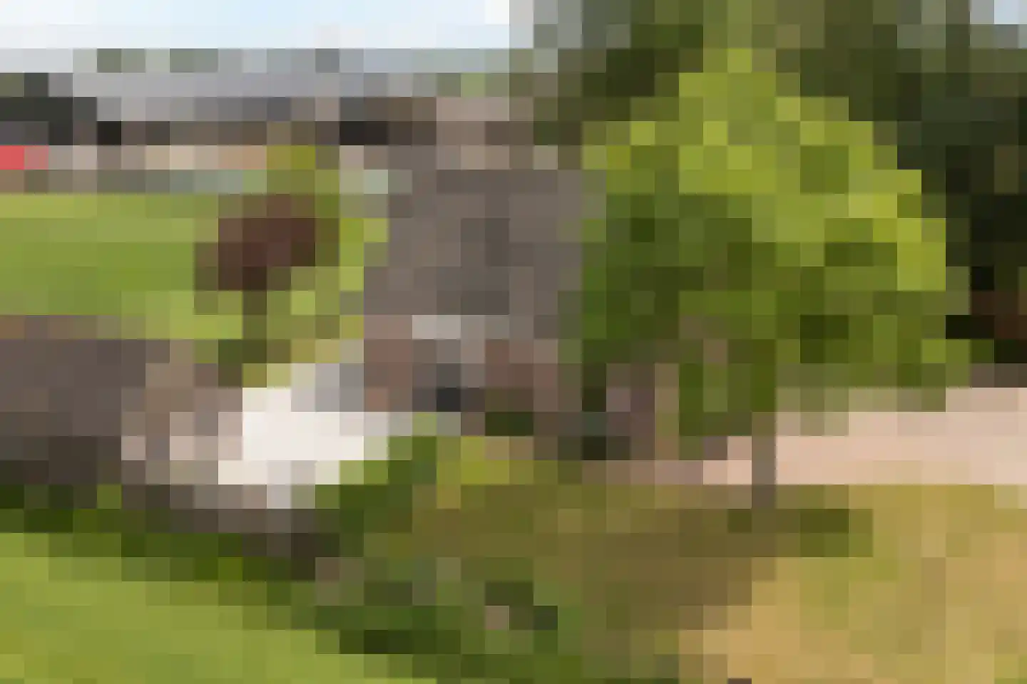 Oudeschouw 4 Akkrum thumbnail 37