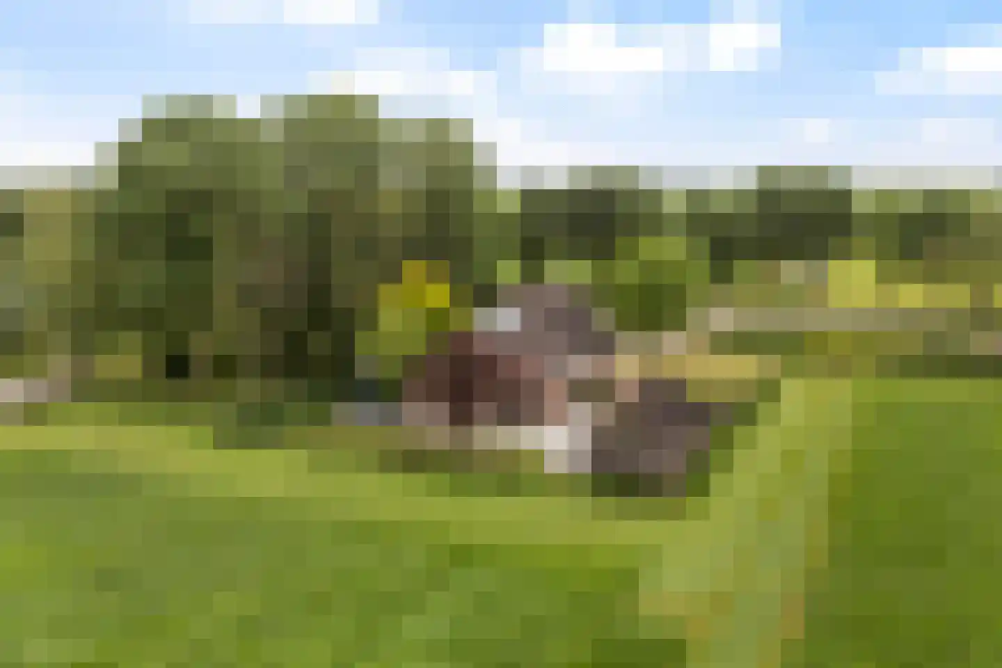Oudeschouw 4 Akkrum thumbnail 38