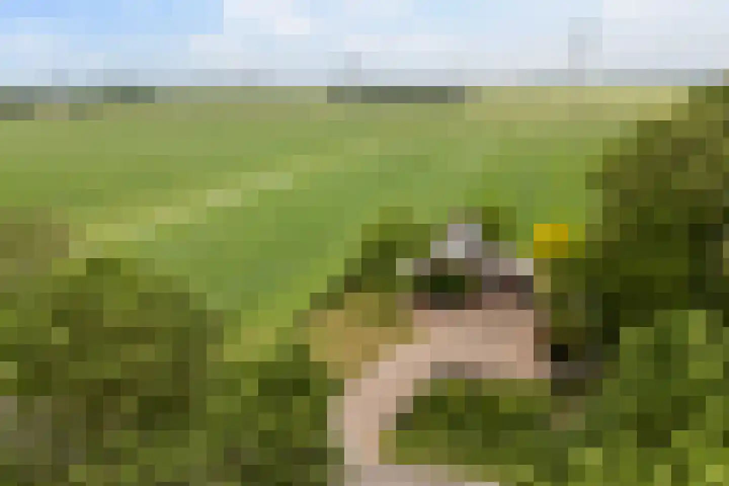 Oudeschouw 4 Akkrum thumbnail 39