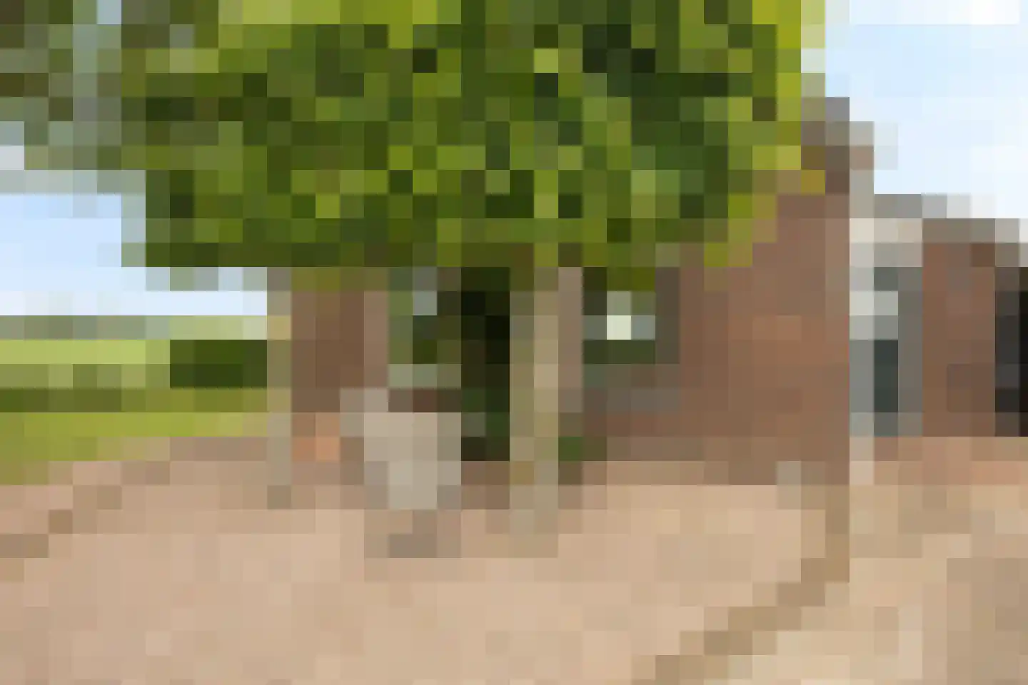 Oudeschouw 4 Akkrum thumbnail 42