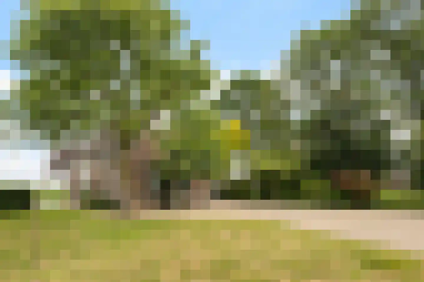 Oudeschouw 4 Akkrum thumbnail 43