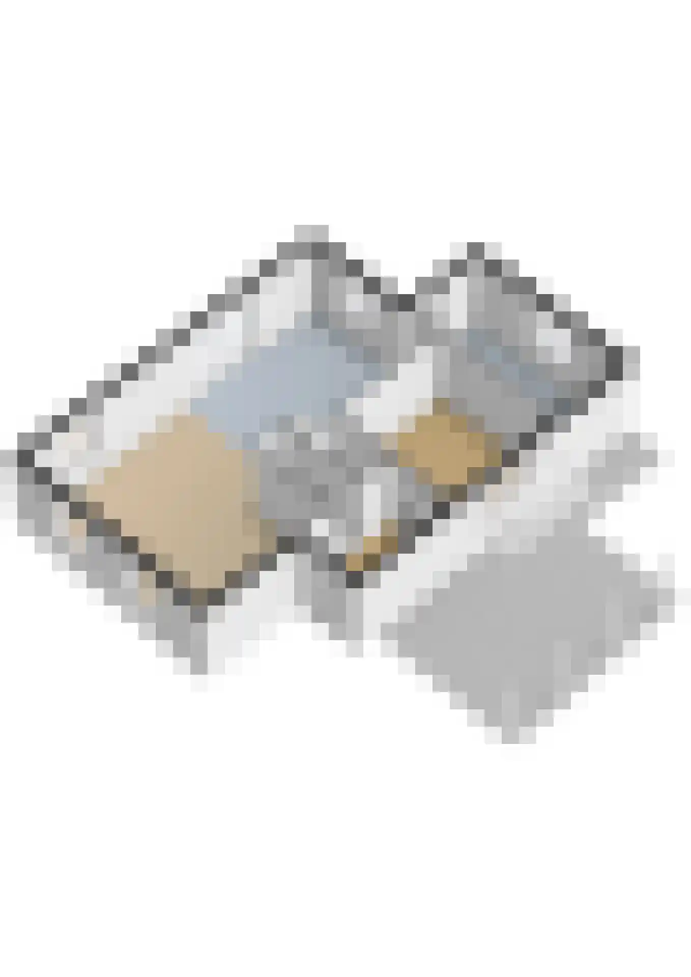 Oudeschouw 4 Akkrum thumbnail 51