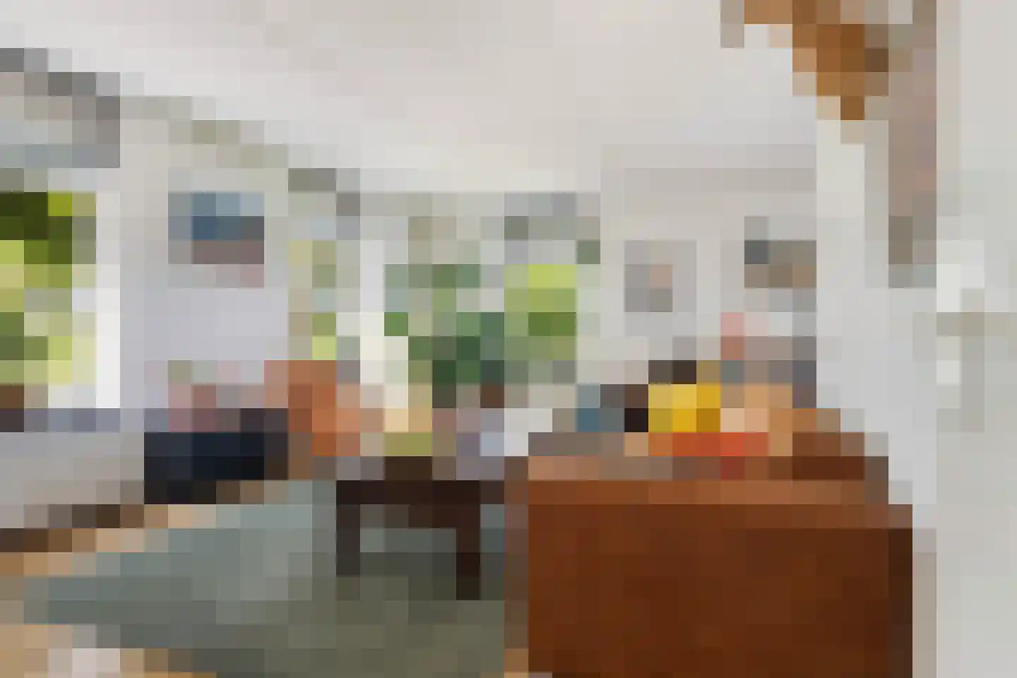 Oudeschouw 4 Akkrum thumbnail 6