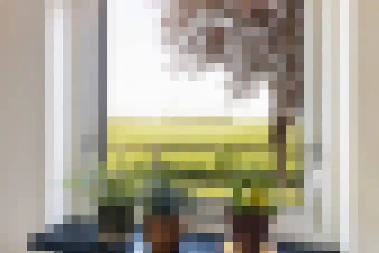 Oudeschouw 4 Akkrum thumbnail 9