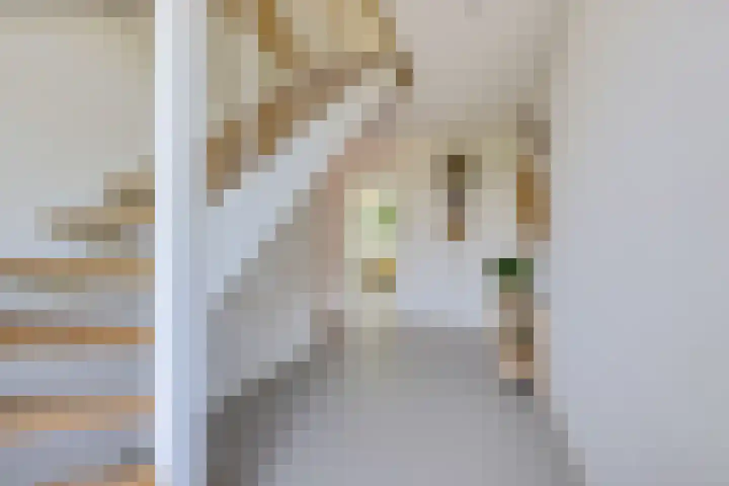 Oudeschouw 8 Akkrum thumbnail 11