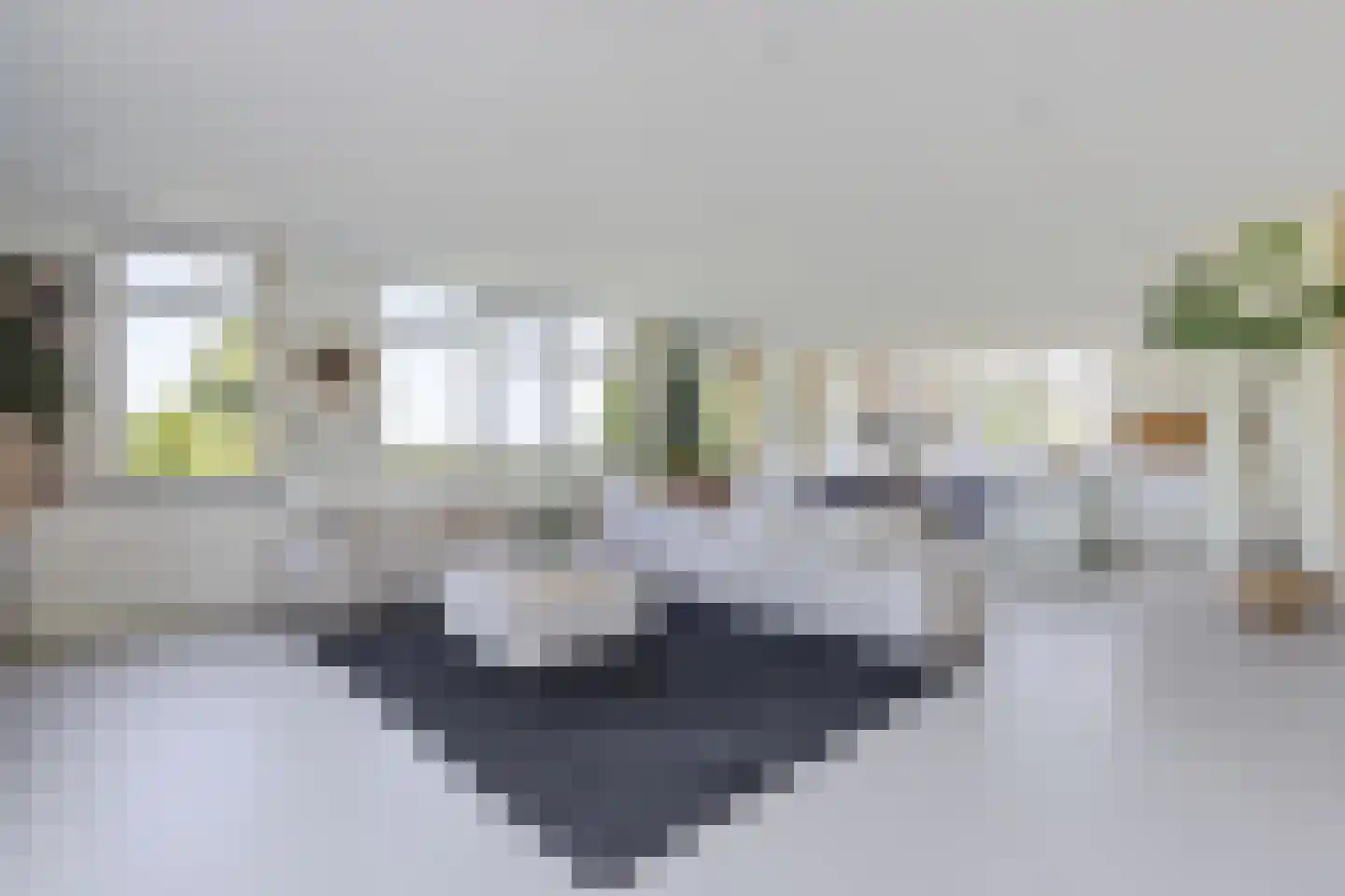 Oudeschouw 8 Akkrum thumbnail 13