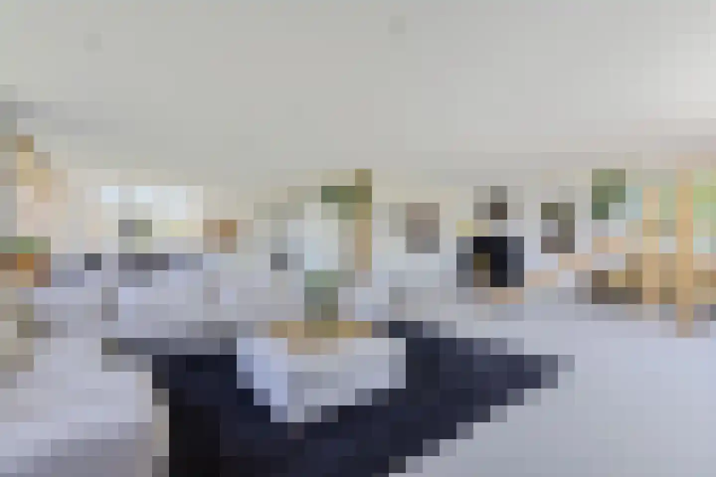 Oudeschouw 8 Akkrum thumbnail 15