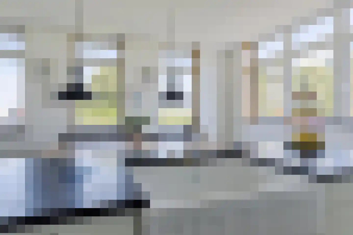 Oudeschouw 8 Akkrum thumbnail 21