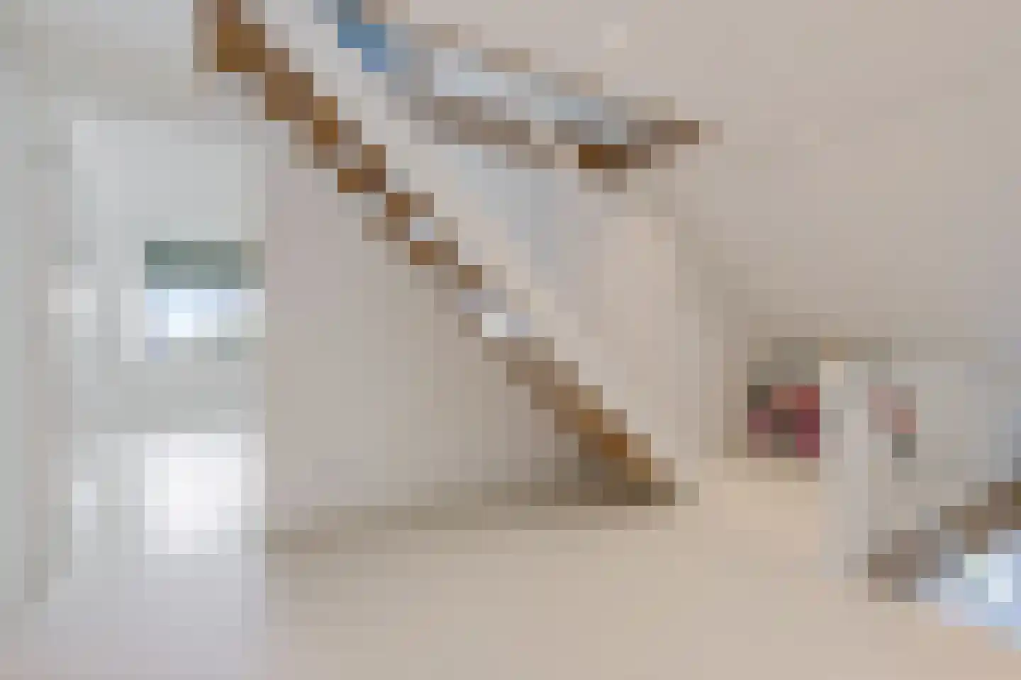 Oudeschouw 8 Akkrum thumbnail 31