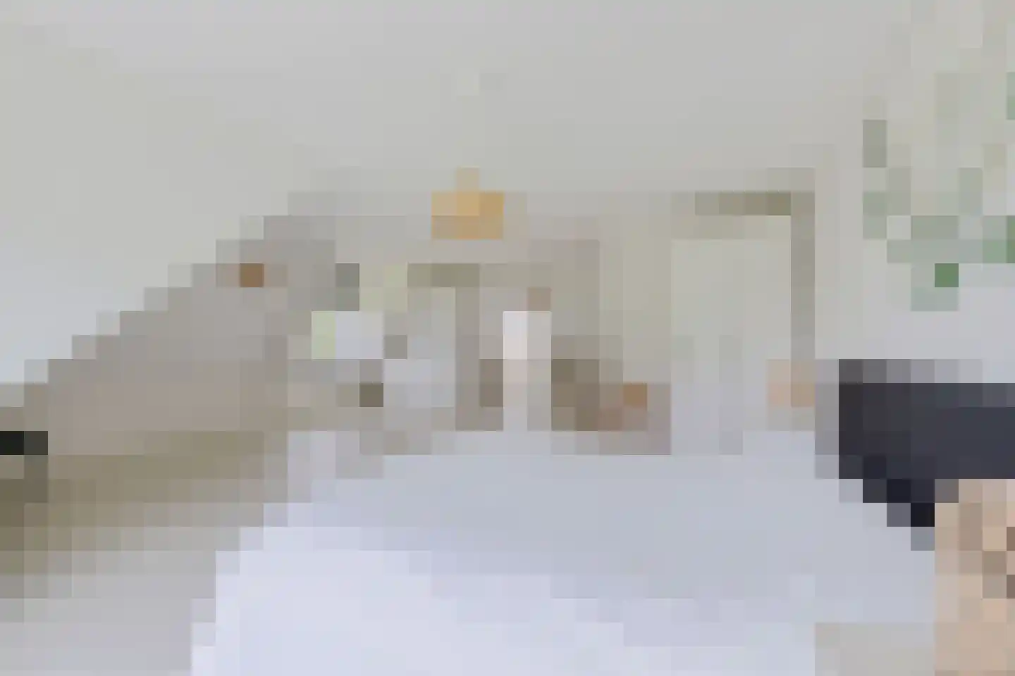 Oudeschouw 8 Akkrum thumbnail 35