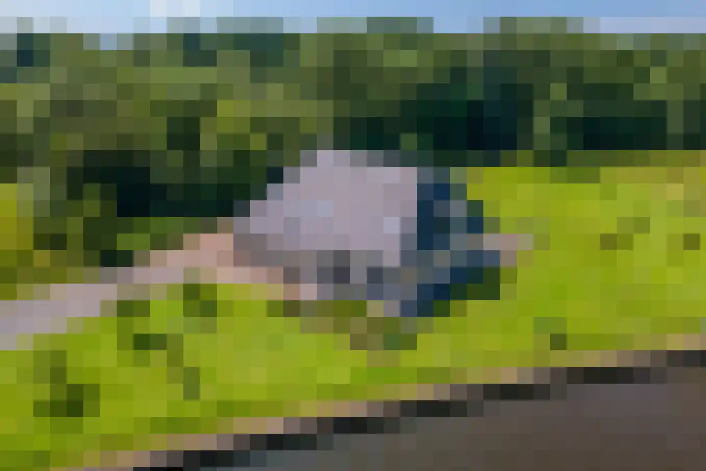 Oudeschouw 8 Akkrum thumbnail 4