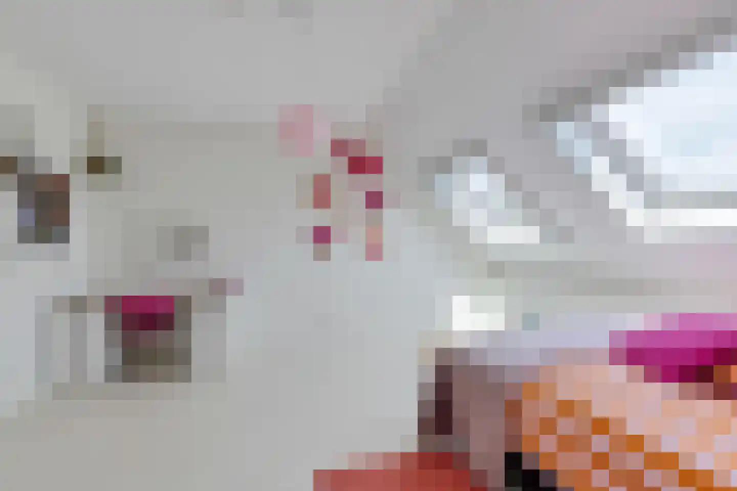 Oudeschouw 8 Akkrum thumbnail 43