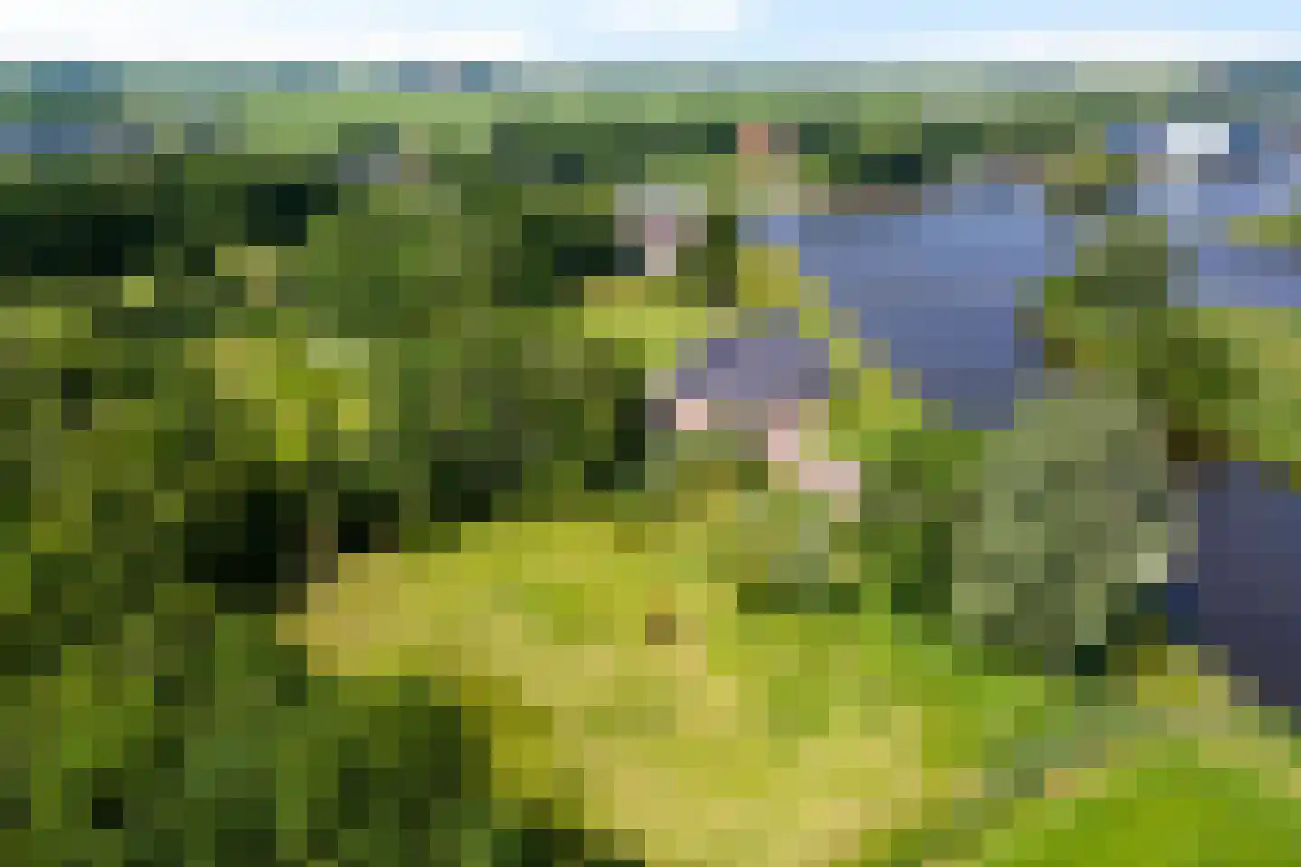 Oudeschouw 8 Akkrum thumbnail 69