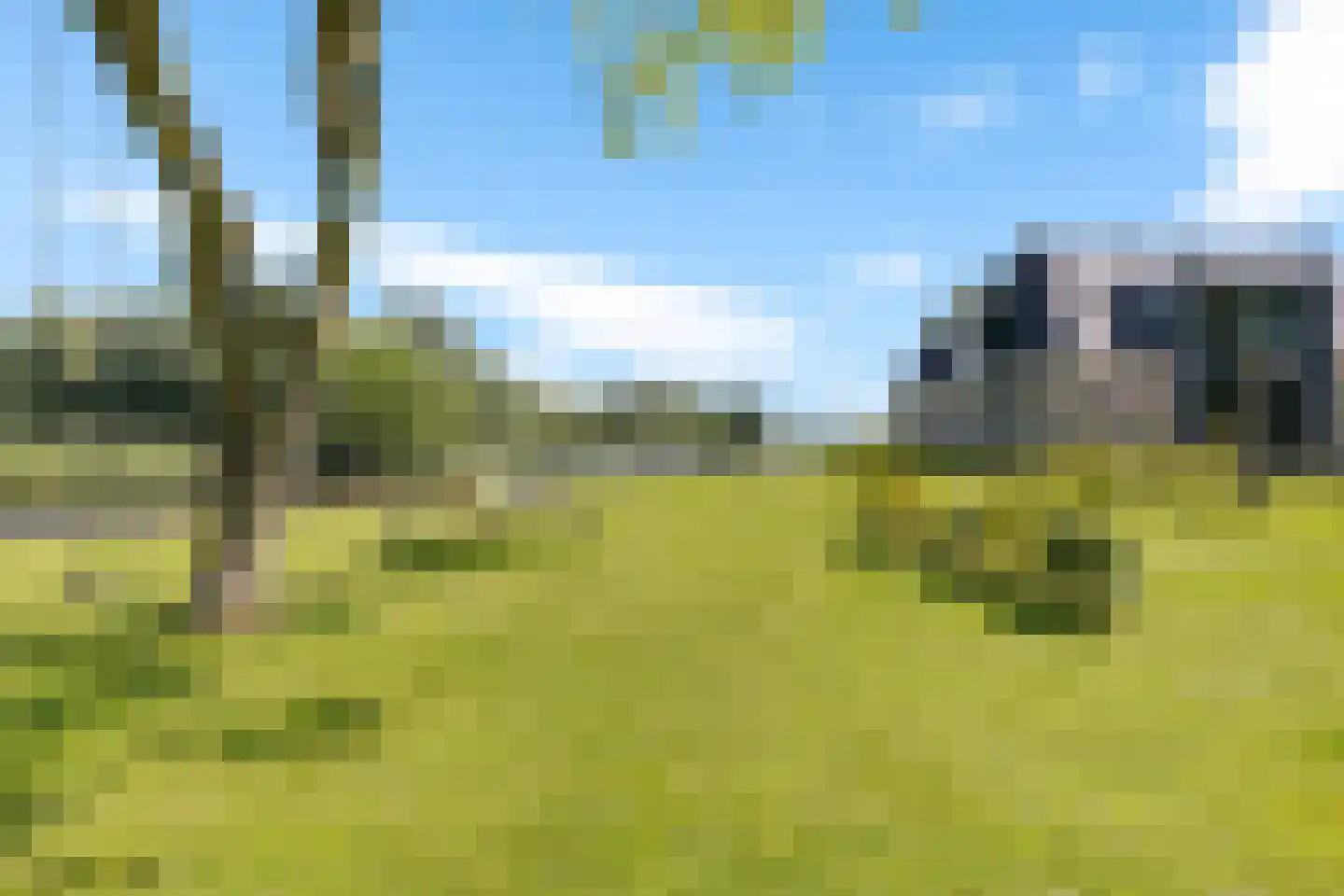 Oudeschouw 8 Akkrum thumbnail 7