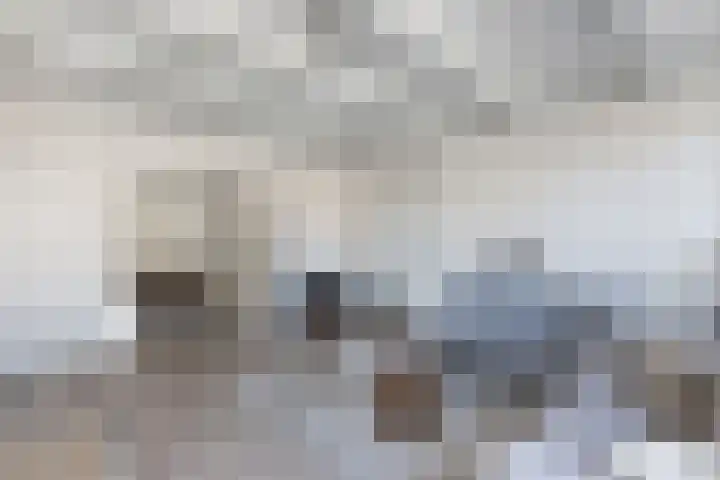 Oudesluis 9 A Lemmer thumbnail 12
