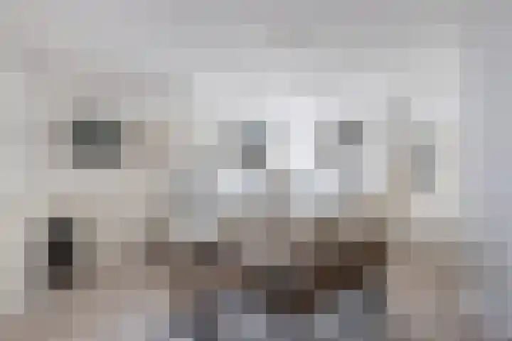 Oudesluis 9 A Lemmer thumbnail 15