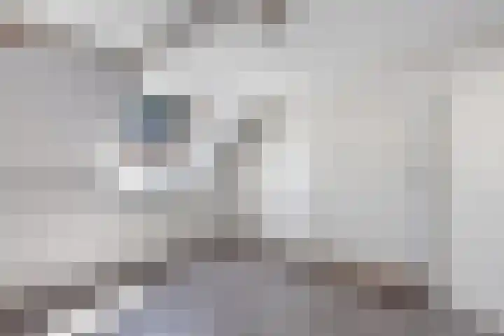 Oudesluis 9 A Lemmer thumbnail 30