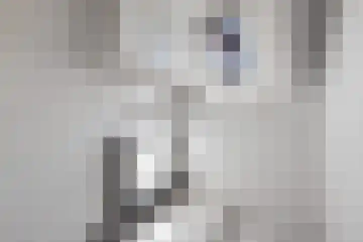 Oudesluis 9 A Lemmer thumbnail 34