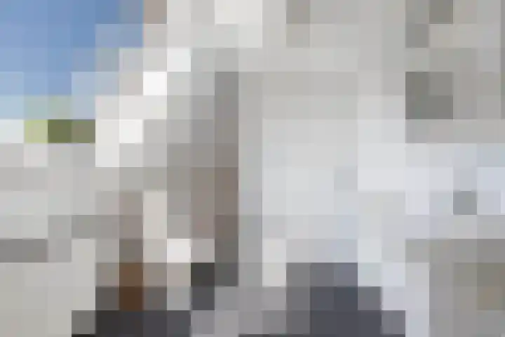 Oudesluis 9 A Lemmer thumbnail 36
